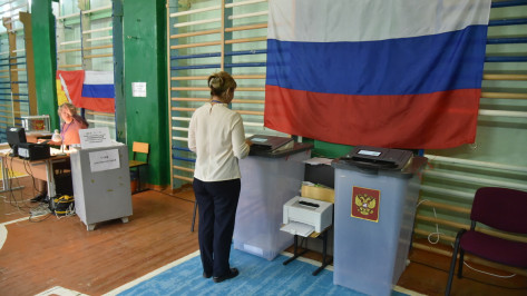 «Все проходит в штатном режиме». О ходе голосования в Воронеже рассказали избиратели, наблюдатели и представители УИК