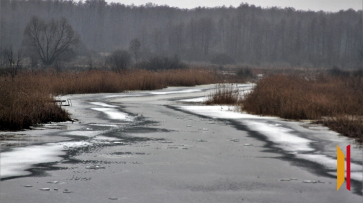 В Воронежской области в реке Усманка утонул 9-летний ребенок