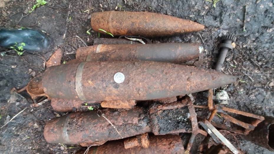 В Рамонском районе поисковики обнаружили 37 боеприпасов времен ВОВ