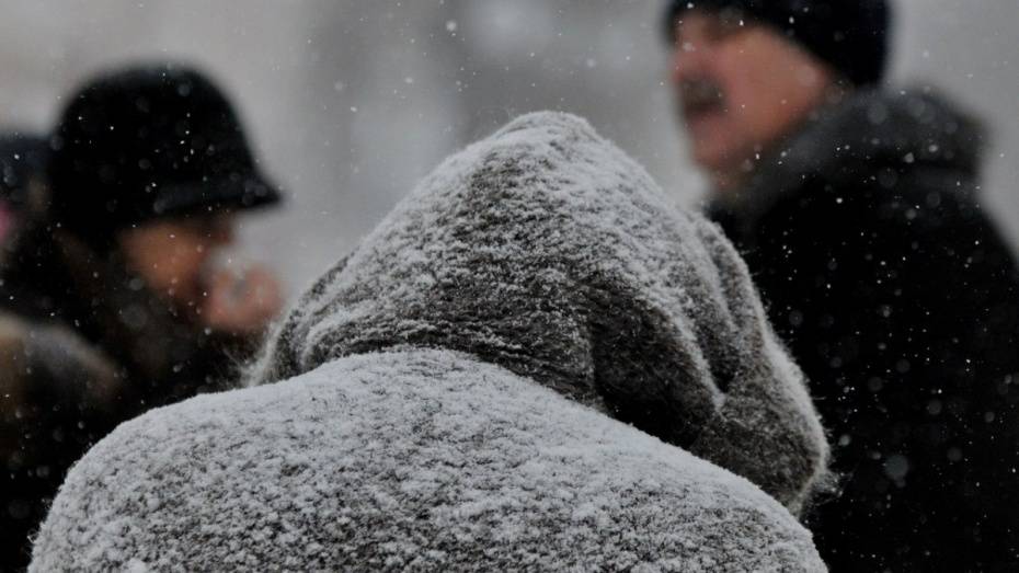Спасатели предупредили о сильном мокром снеге в Воронежской области 