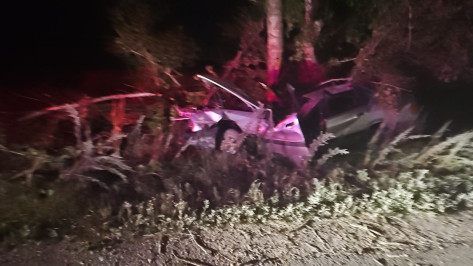 Компания подростков на Audi разбилась на трассе под Воронежем