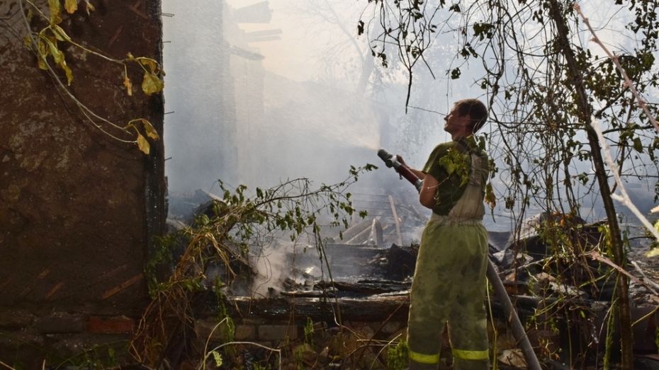 В Воронежской области при пожаре в частном доме погиб 44-летний мужчина