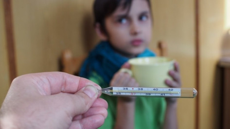 В Воронежской области количество заболевших гриппом и ОРВИ за неделю выросло на 1,5 тыс