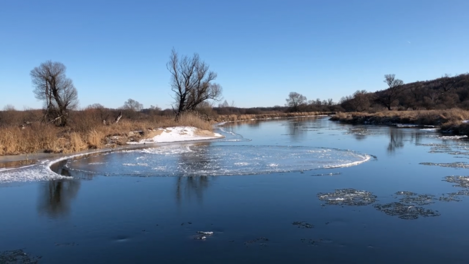 В Сети опубликовали видеозапись с редким природным явлением на реке Воронеж