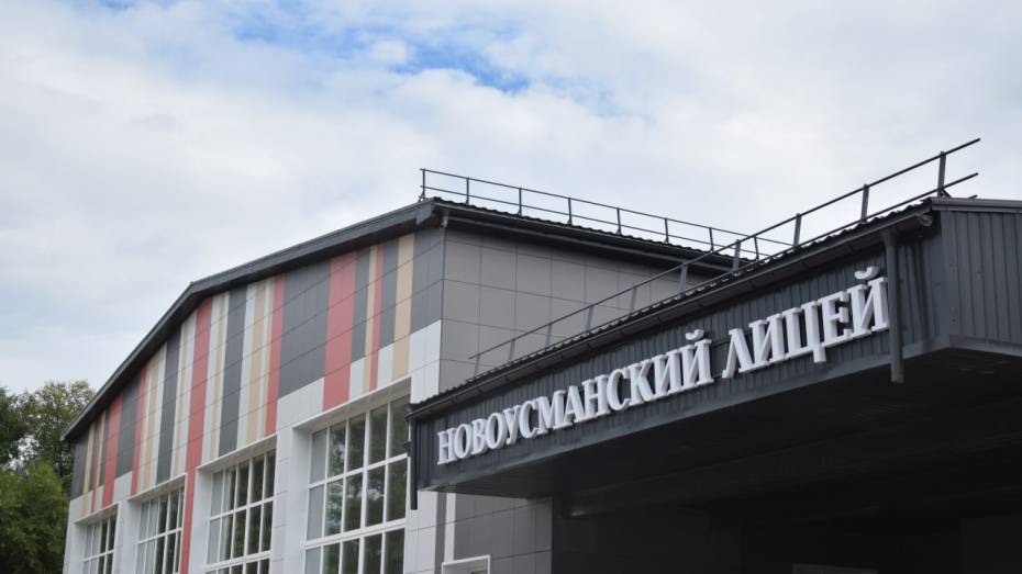 В школах Новоусманского района проведут дополнительные ремонтные работы