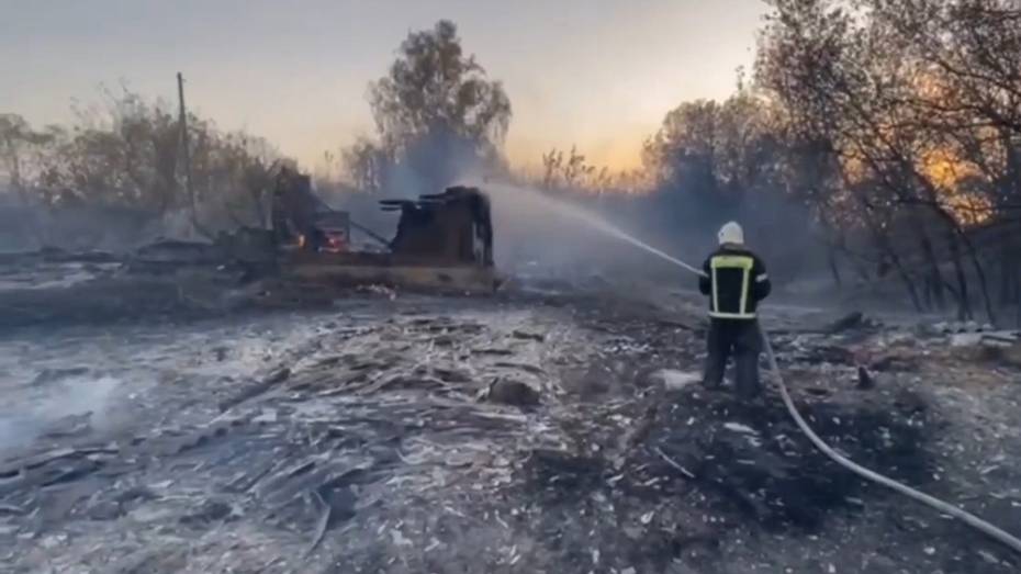 Пожар площадью 20 га уничтожил 6 строений в воронежском селе