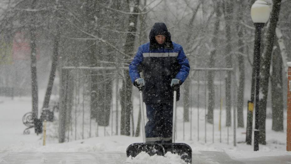 Снежным будет начало февраля в Воронежской области