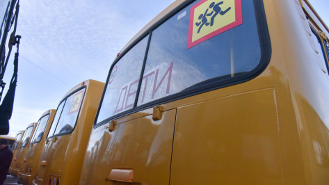 Воронежская Госавтоинспекция проводит рейд по школьным автобусам
