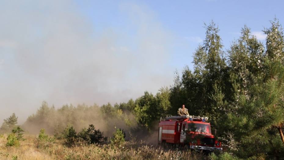 В 15 районах Воронежской области введут высший класс пожароопасности
