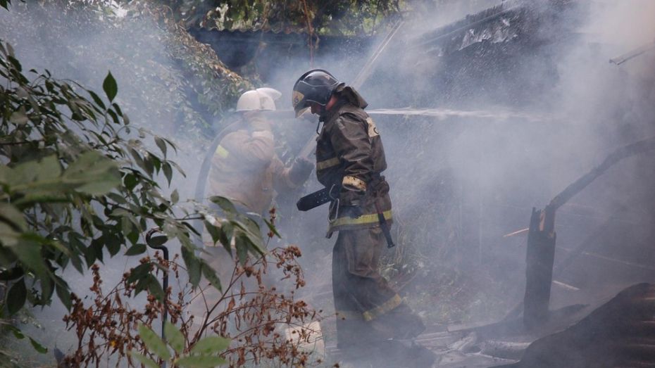 Вероятной причиной пожара в лискинском селе стал поджог
