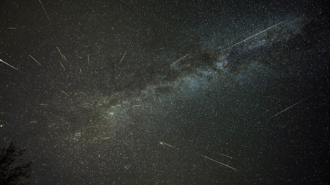 «Ловите» звезды. В выходные воронежцы увидят звездопад Персеиды 