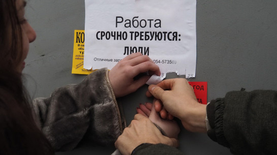 Безработные воронежцы смогут временно трудоустроиться и сохранить пособие