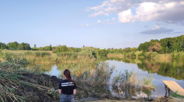 В Воронежской области 13-летний мальчик утонул на глазах у друзей