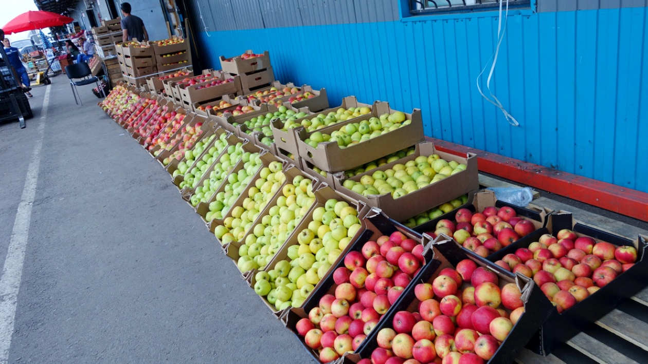 «Людям кушать надо». Как в Воронеже торгуют санкционными овощами и фруктами