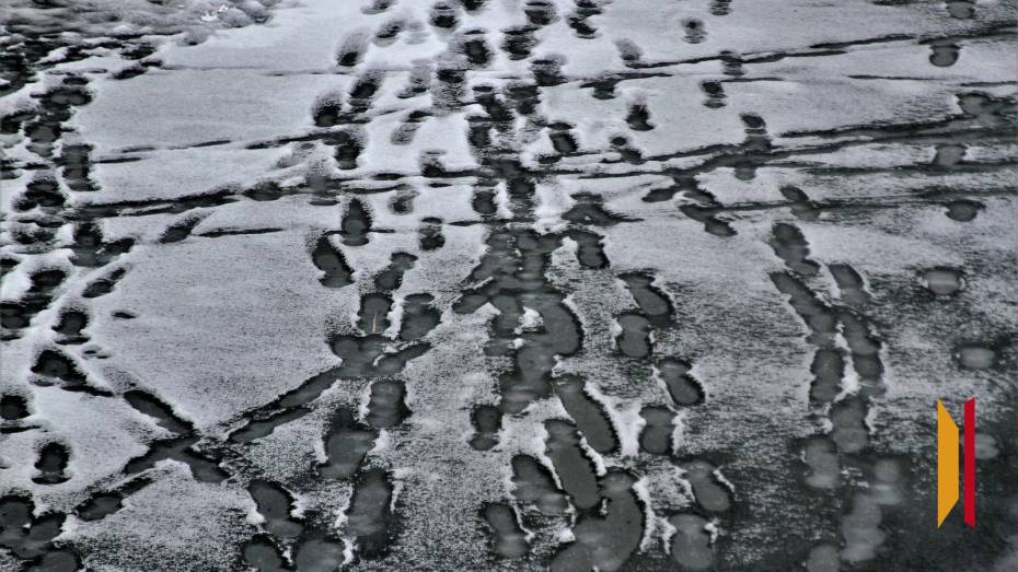 В Воронеже на Петровской набережной днем 15 марта женщина провалилась под лед