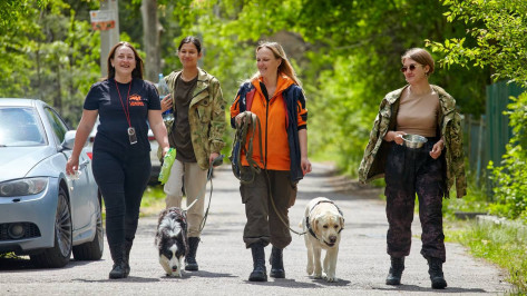 В лесу и не только: Билайн помогает искать потерявшихся воронежцев с помощью новых технологий