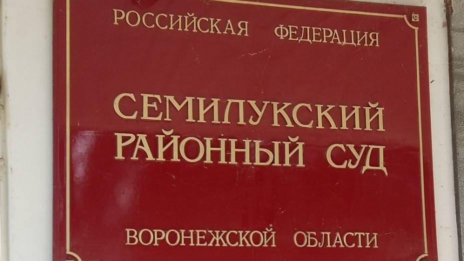 Житель Семилукского района получил год тюрьмы за ограбление магазина