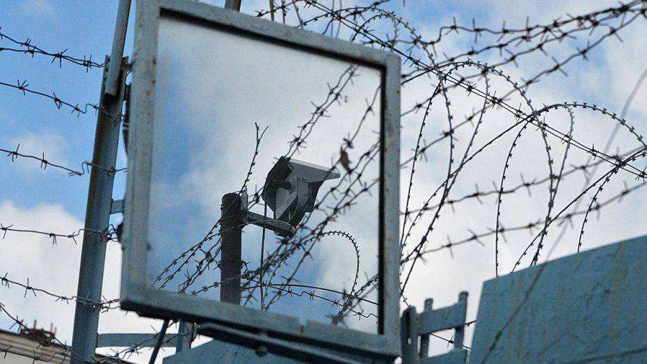 Заключенный в Воронежской области получил 3,5 года колонии за пропаганду терроризма 