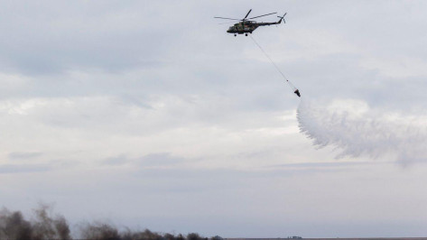 Под Воронежем завершился основной этап российско-сербских учений 