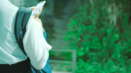 В Воронеже 14-летняя школьница отдала мошенникам сбережения матери