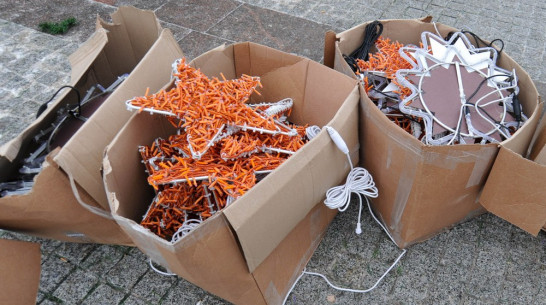 Главную новогоднюю елку в Воронеже украсят иногородние дизайнеры