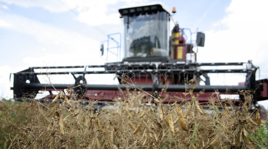 Правительство РФ выделило 582 млн рублей на сельское хозяйство Воронежской области