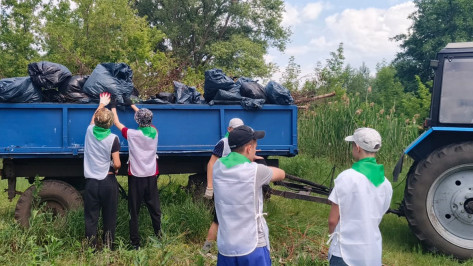В лискинском селе Почепское школьники очистили от мусора берег реки Хворостань