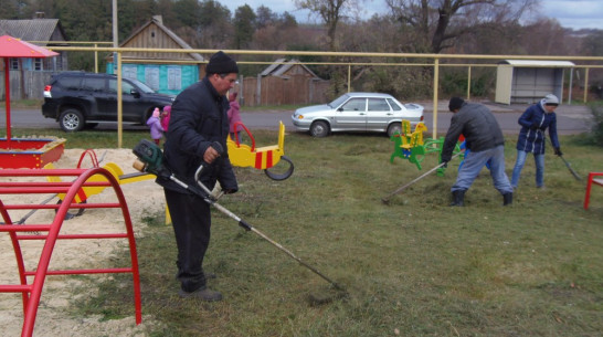Житель верхнемамонского села благоустроил детскую площадку