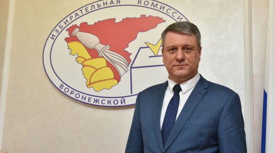 Глава избиркома Воронежской области Сергей Канищев покинет пост