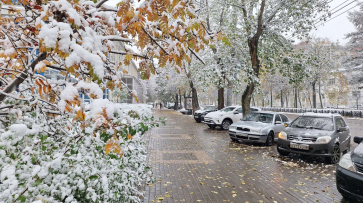 Снегопад накрыл Воронеж утром 26 октября