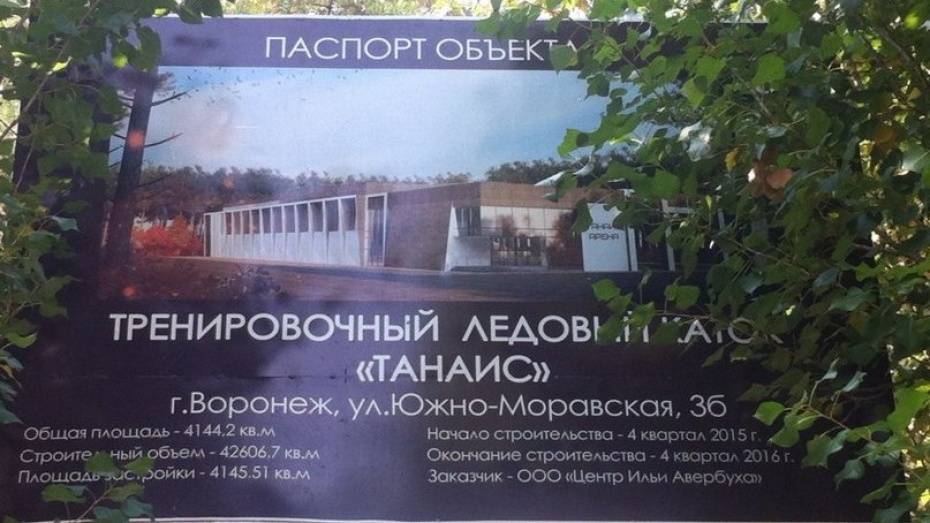 Мэрия Воронежа предложила альтернативные участки для строительства катка