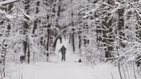 Ночью из Эртильской районной больницы сбежал 8-летний мальчик