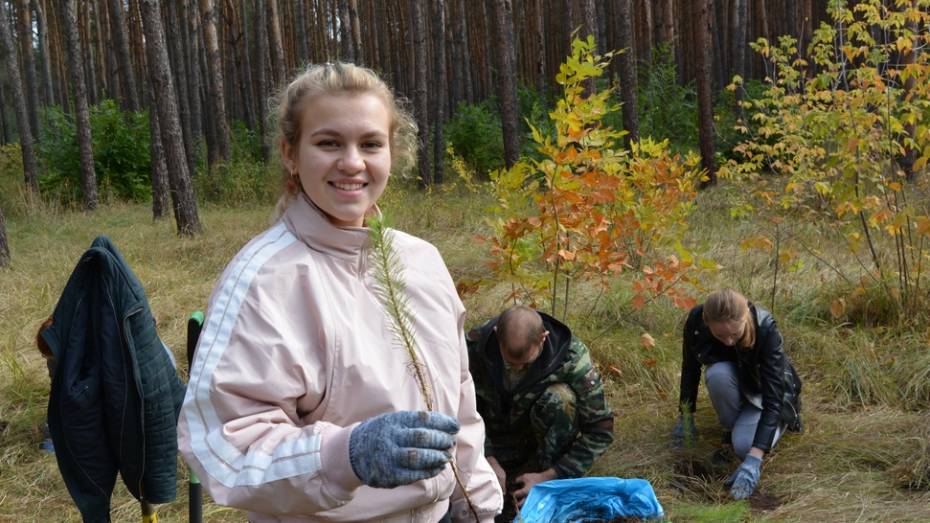 В россошанском экопарке «Каялов бор» высадили молодые сосны