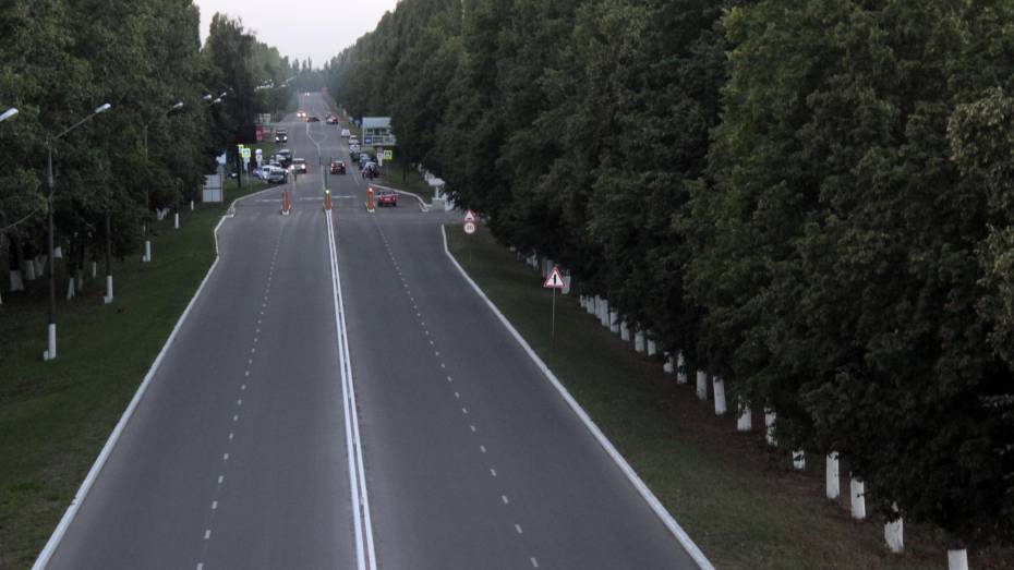 В Воронеже на дорожную разметку потратят до 182,3 млн рублей