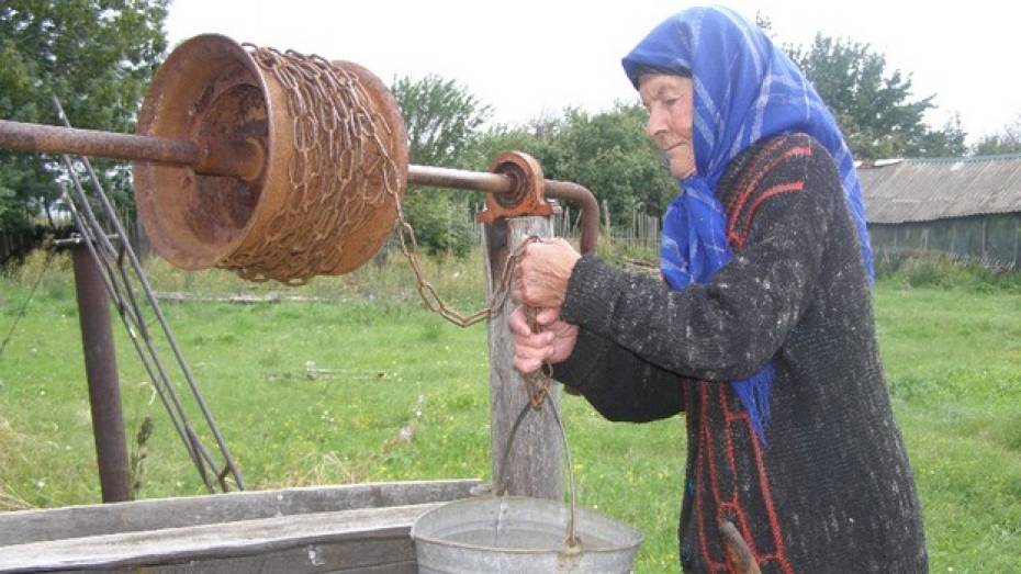 Восемь лет старики нижнедевицкого села черпают воду из колодца, в котором плавают дохлые мыши