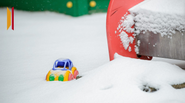 В Воронеже за ночь снежный покров достиг 3 см