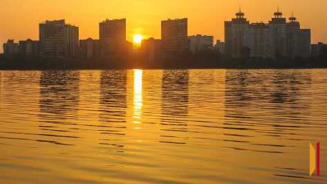 Итоги недели. Что важного произошло в Воронежской области с 2 по 8 июня