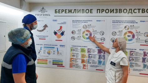 Воронежские предприятия приглашаются к участию в федеральном проекте «Производительность труда»