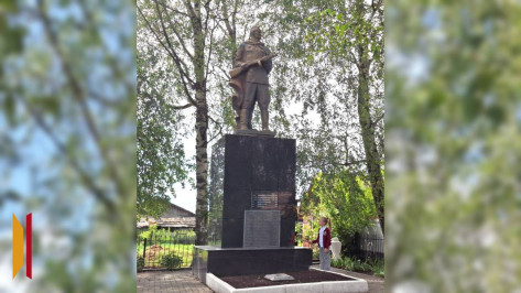 Новую скульптуру воина-освободителя установили в поселке совхоза «Нижнедевицкий»