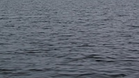 Воронежец утонул на ночной рыбалке на водохранилище