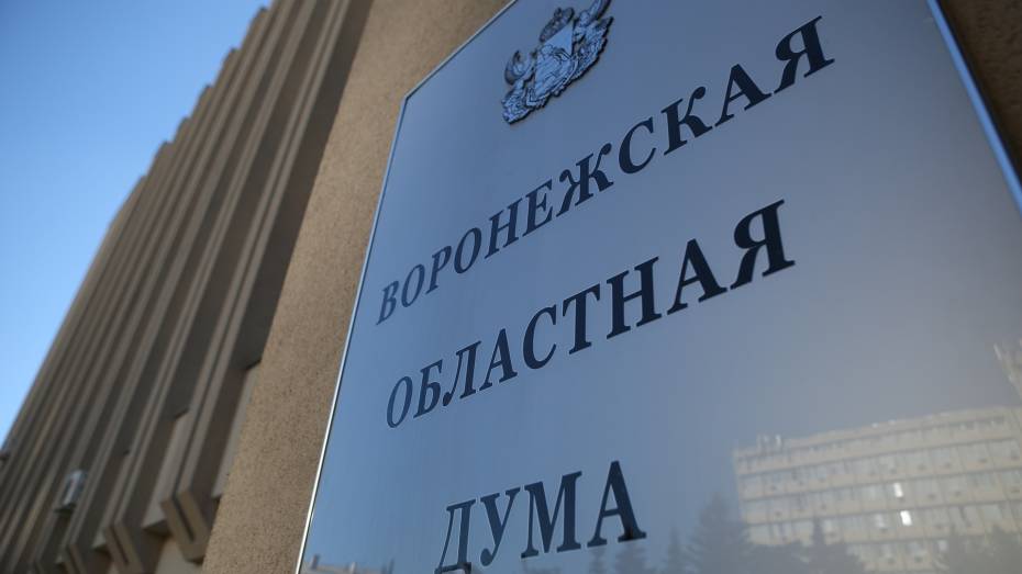 В Воронежской облдуме разработали законопроект о повышении выплат за рождение третьего и последующего ребенка до 350 тыс рублей