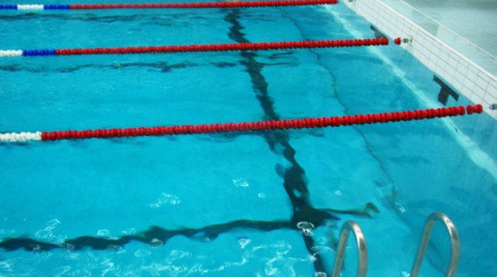 Областные соревнования по плаванию проведут в Верхней Хаве