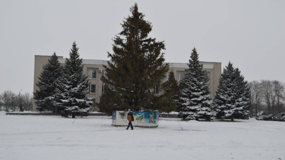 В Эртиле установили главную новогоднюю елку 