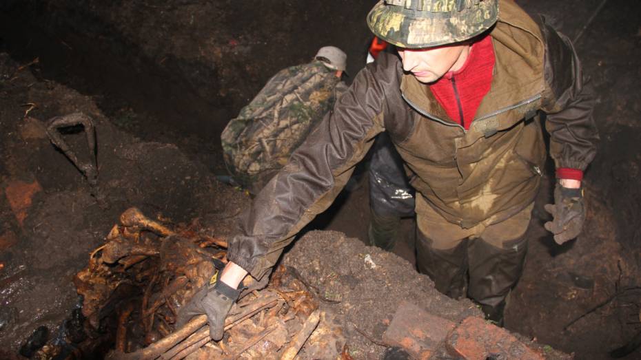 Воронежские коммунальщики обнаружили останки 15 красноармейцев