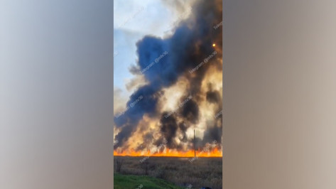 Масштабный ландшафтный пожар в Воронежской области сняли на видео