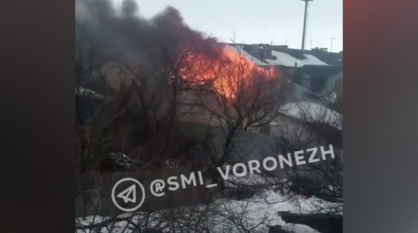 Под Воронежем горит частный дом: видео