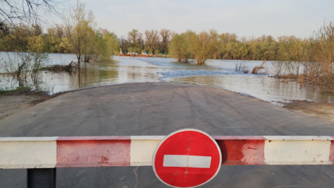 Машина участников СВО утонула в реке Дон в Воронежской области
