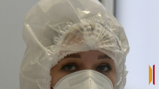 Воронежцев предупредили о фейке об угрозе распространения холеры