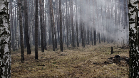 Погиб мужчина, пропавший в октябре в Воронежской области