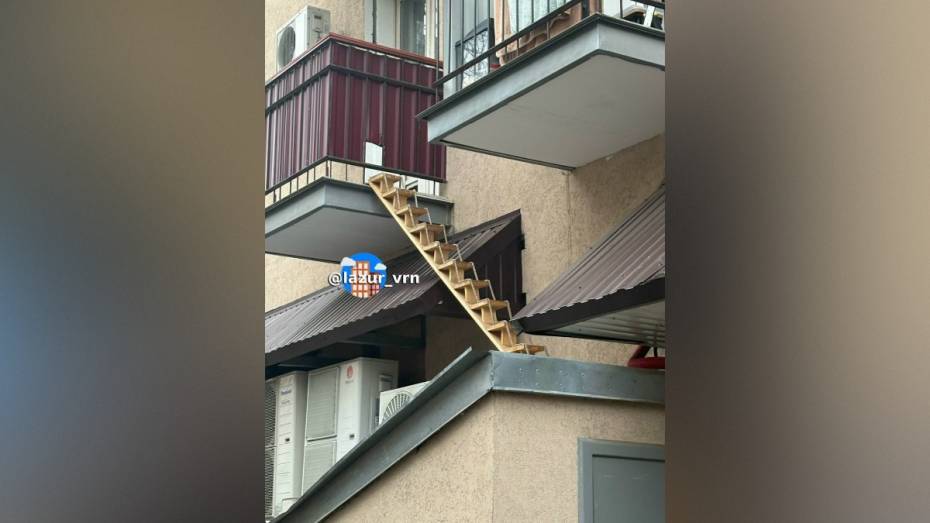 На балконе воронежской четырехэтажки заметили лестницу для котика